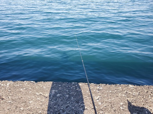 f:id:kentanaaa:20220311183546j:plain