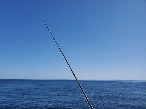 f:id:kentanaaa:20220405200954j:plain