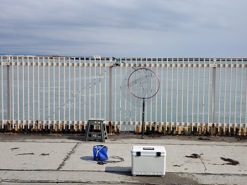 f:id:kentanaaa:20220406205545j:plain