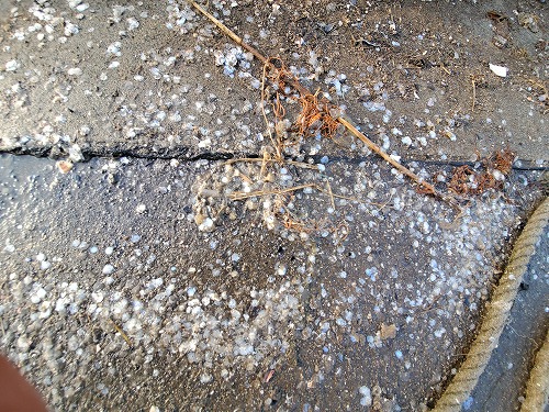 f:id:kentanaaa:20220411164707j:plain