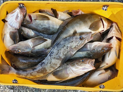 f:id:kentanaaa:20220411172701j:plain