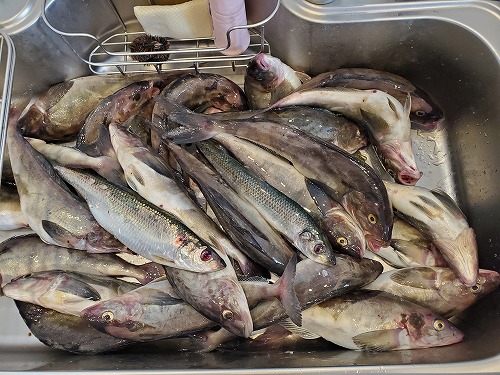 f:id:kentanaaa:20220411173826j:plain