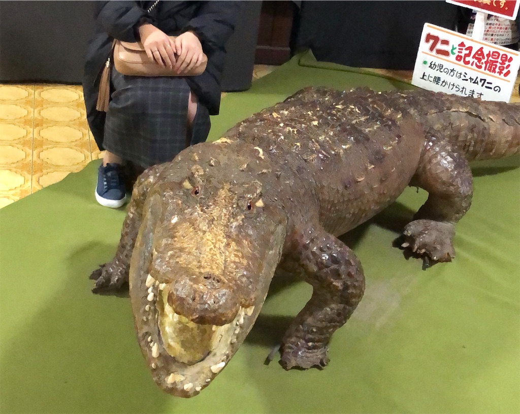 f:id:kentanoblog:20181229101413j:image f:id:kentanoblog:20181229101413j:image