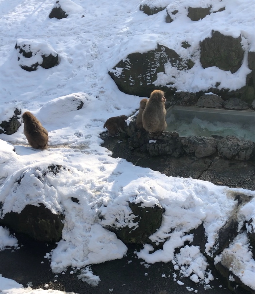 f:id:kentanoblog:20181229101732j:image f:id:kentanoblog:20181229101732j:image