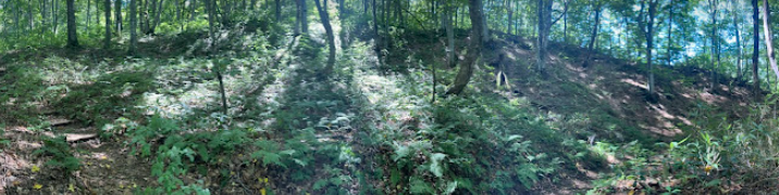 青森 世界遺産白神山地へ 暗門白神号のバス旅 - 週末のプチ