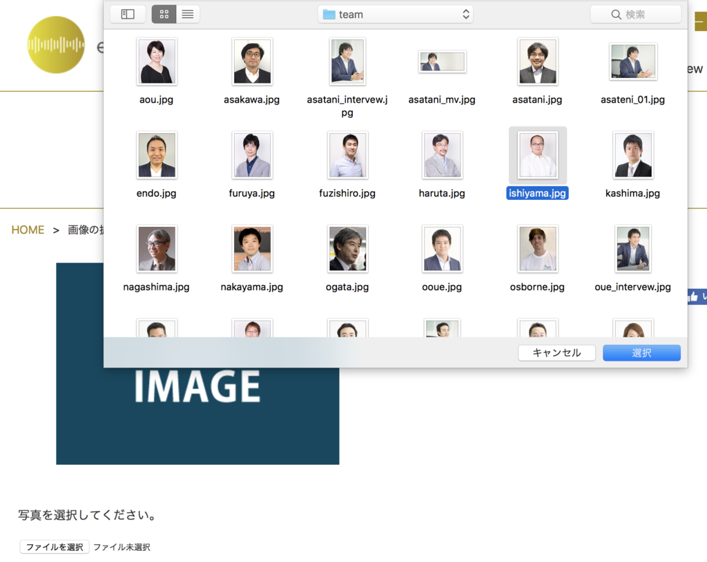f:id:kentaro-suto:20181023104008p:plain