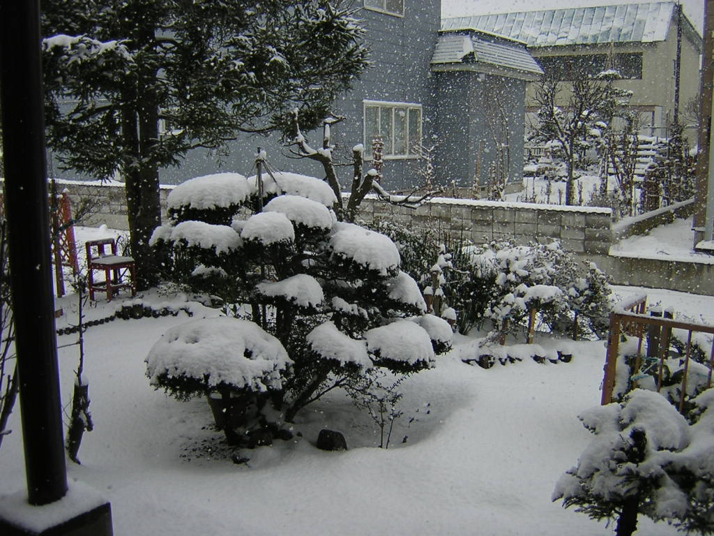 f:id:kentaro-suto:20190124191659j:plain f:id:kentaro-suto:20190124191659j:plain