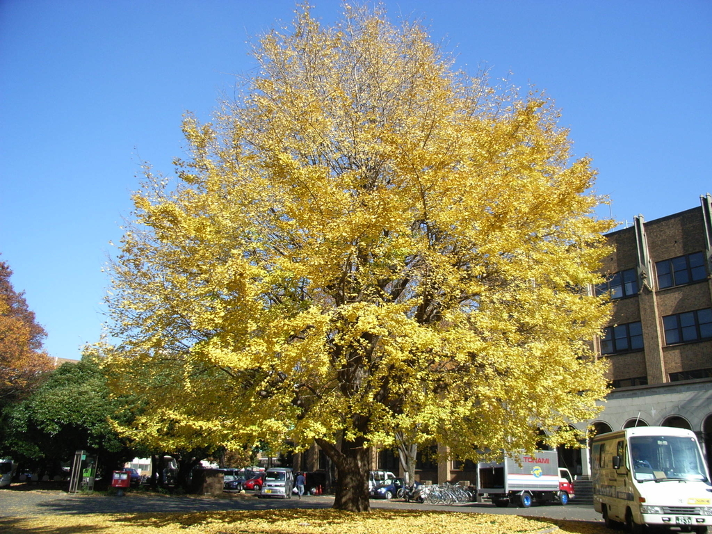 f:id:kentaro-suto:20190124193151j:plain f:id:kentaro-suto:20190124193151j:plain