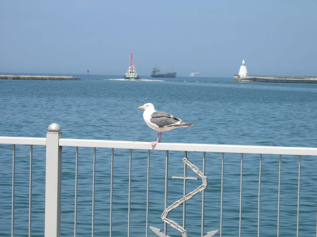 f:id:kentaro-suto:20190124193727j:plain f:id:kentaro-suto:20190124193727j:plain