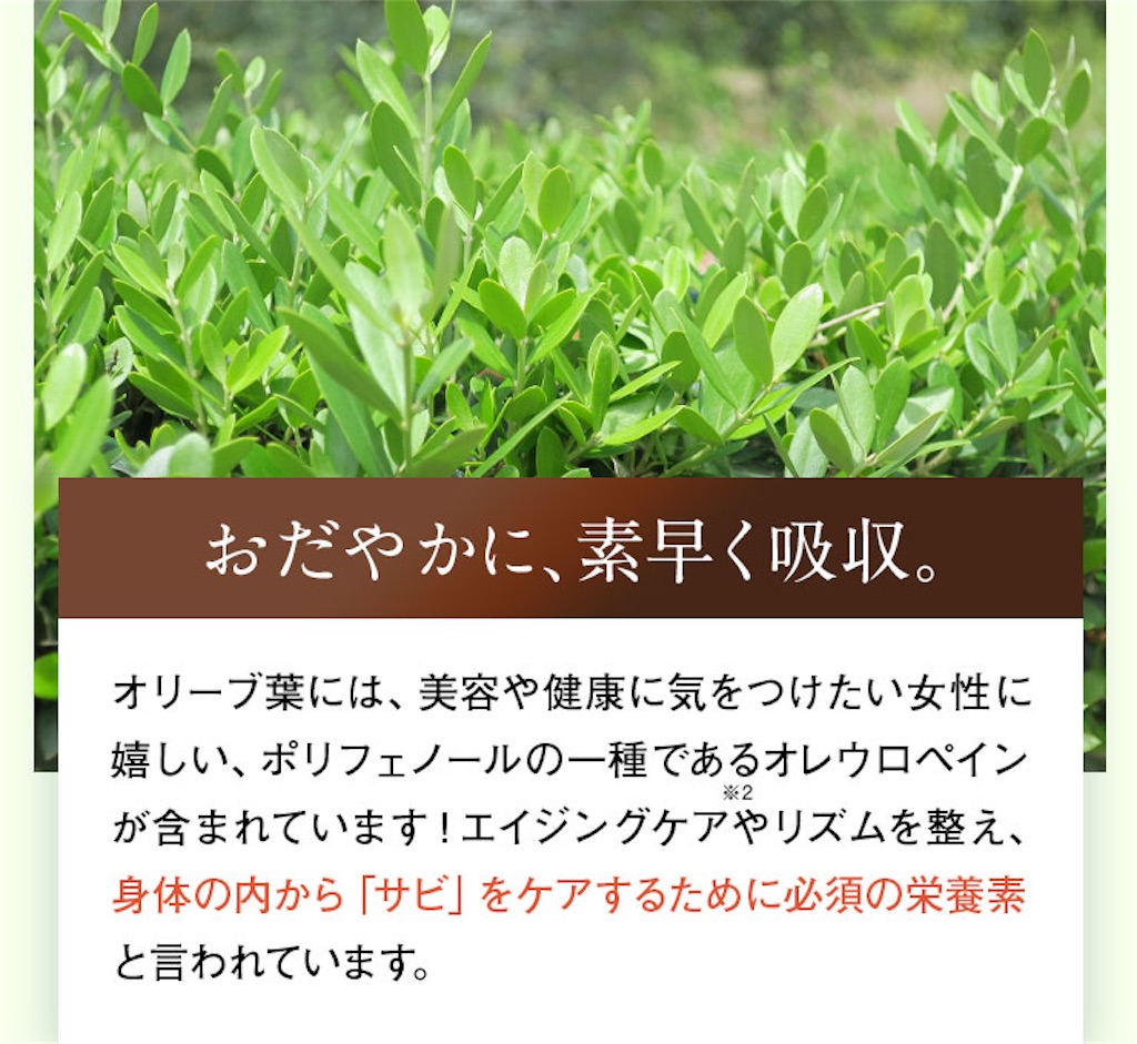 f:id:kentaro0423:20211210180958j:image f:id:kentaro0423:20211210180958j:image