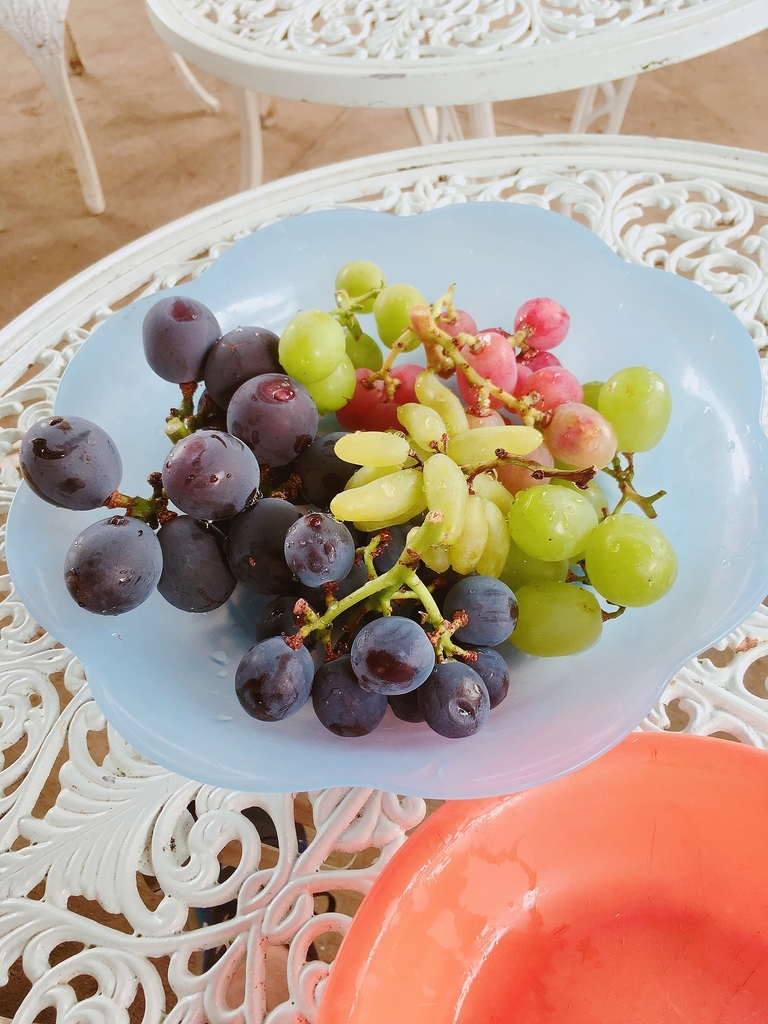 f:id:kentaro198477:20180912003752j:plain f:id:kentaro198477:20180912003752j:plain