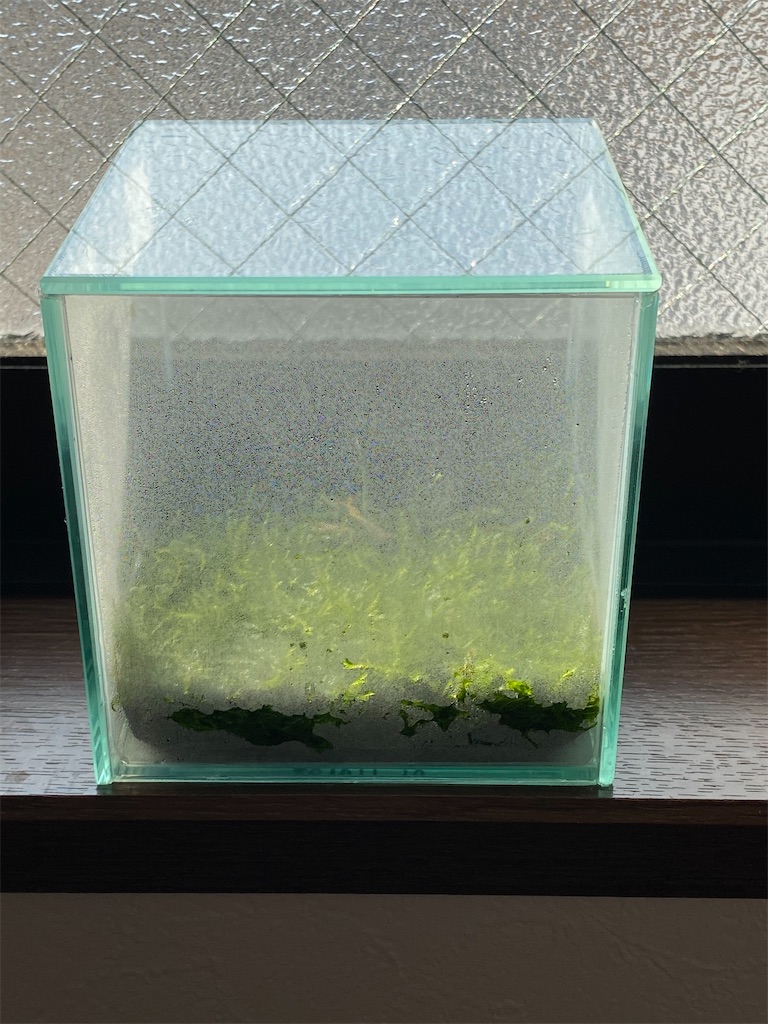 寒川アクアブログ
