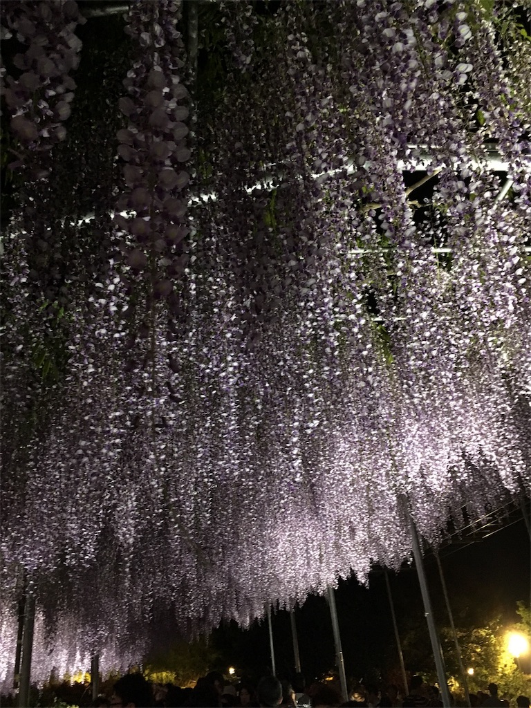 f:id:kentarou43063761019:20160504012415j:image f:id:kentarou43063761019:20160504012415j:image