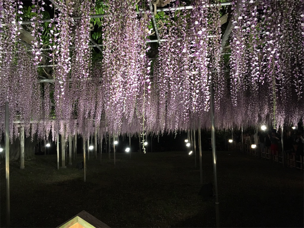 f:id:kentarou43063761019:20160504012426j:image f:id:kentarou43063761019:20160504012426j:image