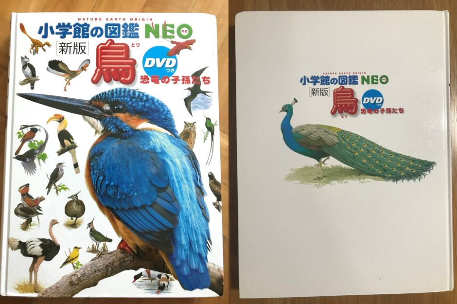 子供用図鑑おすすめ10選 19冊読んだ3歳児と選ぶ大人も楽しい図鑑 なまけママの海外知育