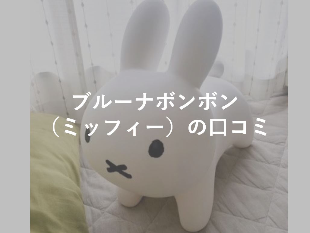 ブルーナボンボンの口コミと評判 実際に遊んでみて感じたデメリットも解説 なまけママの海外知育