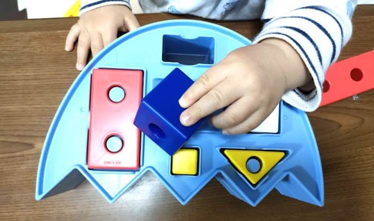 コロンブスのつみき　バランスセット　口コミ