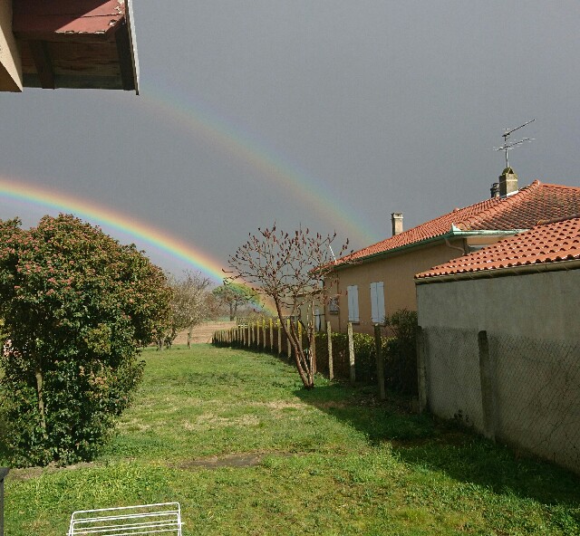 f:id:kento-nm19980428:20180313073723j:image f:id:kento-nm19980428:20180313073723j:image