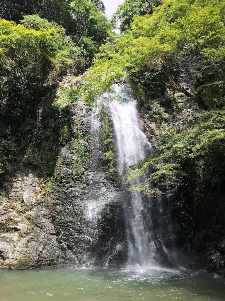 f:id:kentting:20180826173858j:image f:id:kentting:20180826173858j:image
