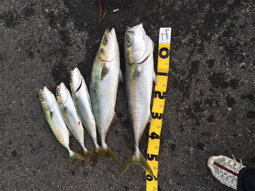 f:id:kentusaky:20191027225700j:image f:id:kentusaky:20191027225700j:image