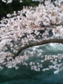 20100407162434