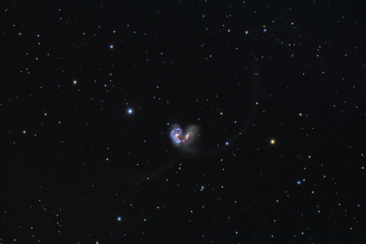 f:id:kenwoodyjoy:20190731102028j:plain f:id:kenwoodyjoy:20190731102028j:plain