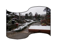 f:id:kenyoutoan:20140207132147p:image:w220