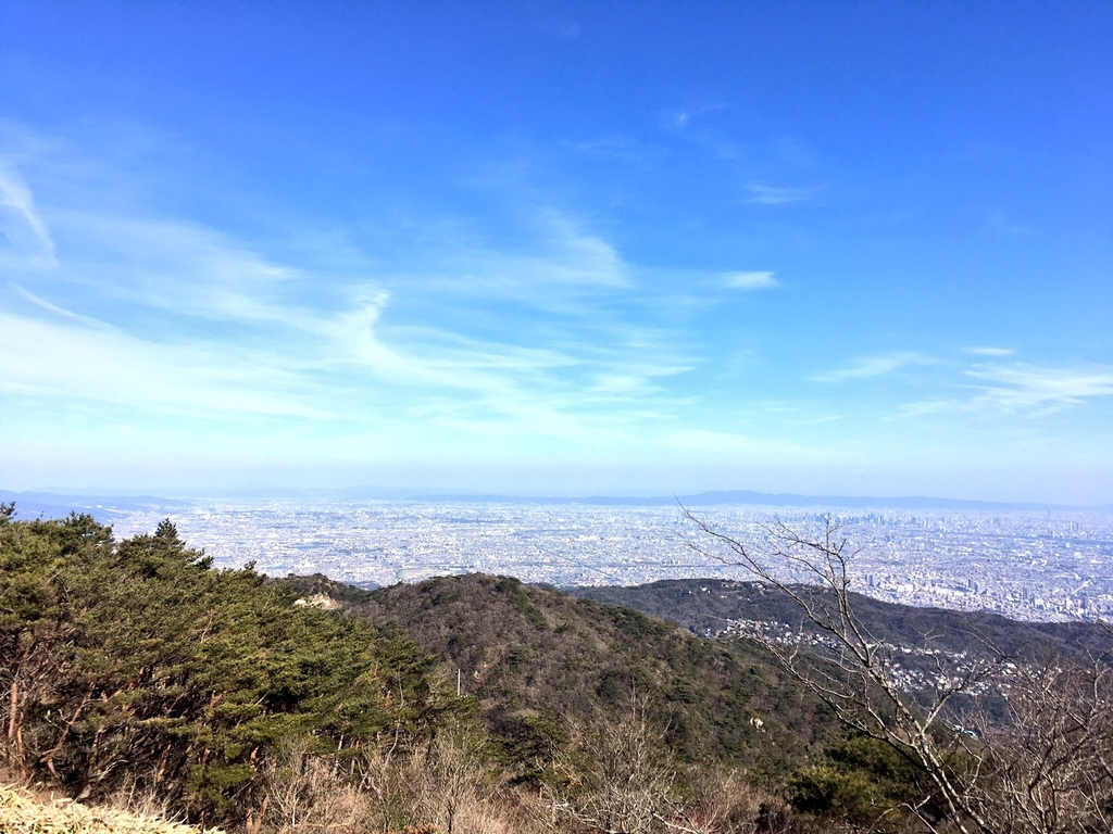 f:id:kenzoon:20190310195659j:plain