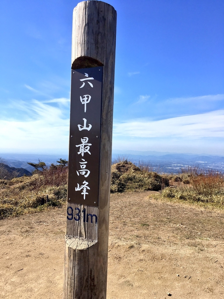 f:id:kenzoon:20190310203416j:plain