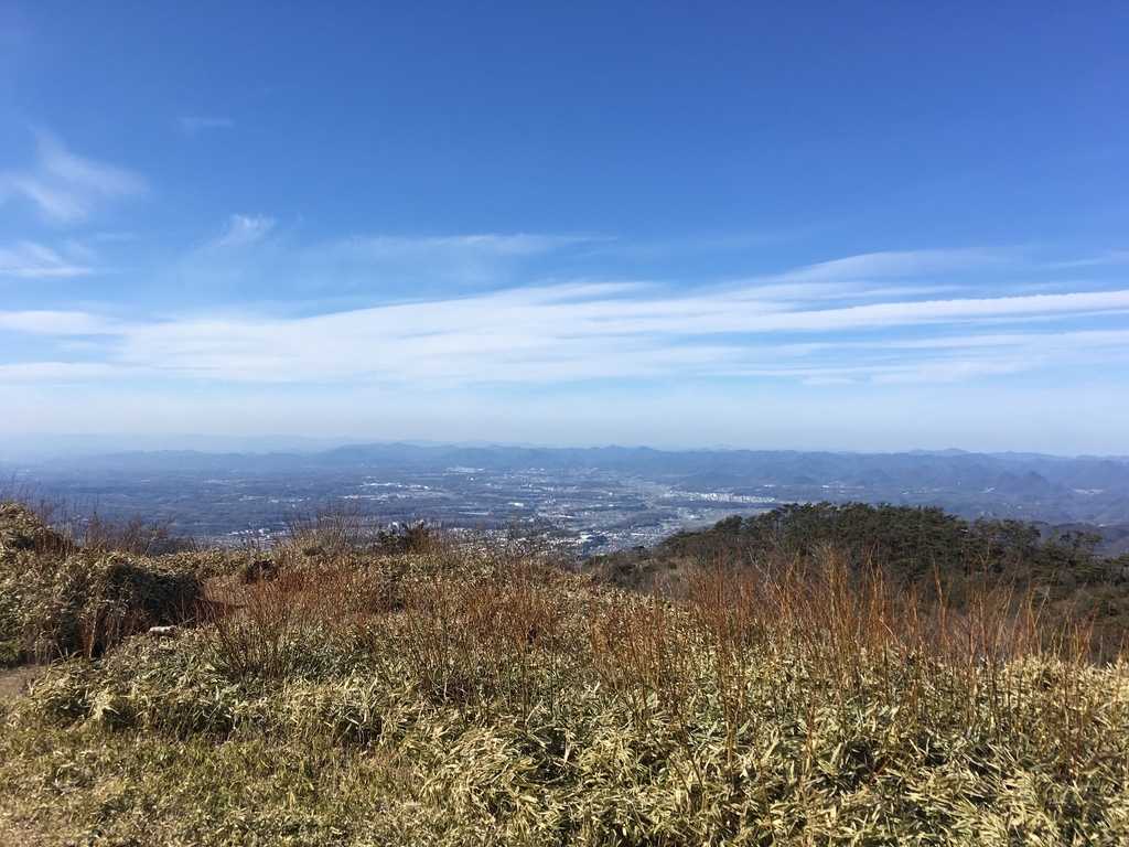 f:id:kenzoon:20190310203829j:plain