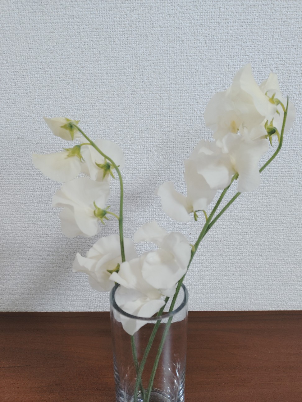 f:id:kerayama_kerako:20251208052224j:image