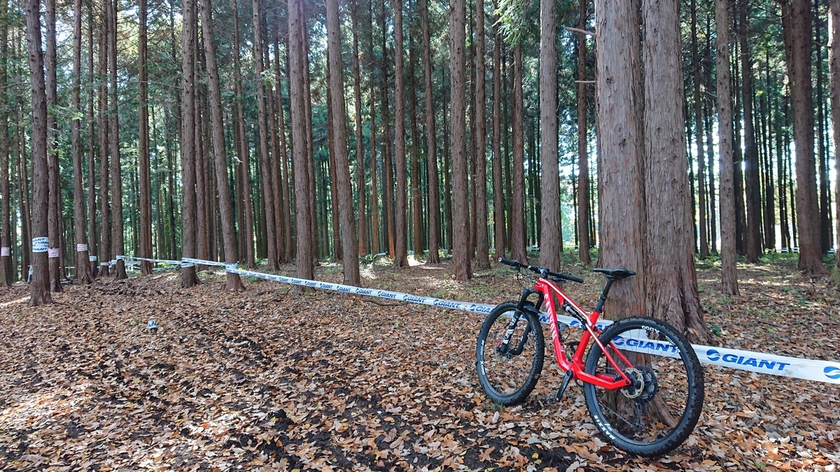 ろまんちっく村もくもくの森mtbコース ロードバイクとマウンテンバイクのどっちも上手くなりたい５２歳