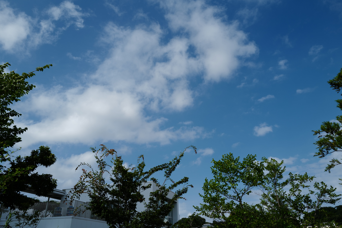 f:id:kero_decopon:20190816215419j:plain f:id:kero_decopon:20190816215419j:plain