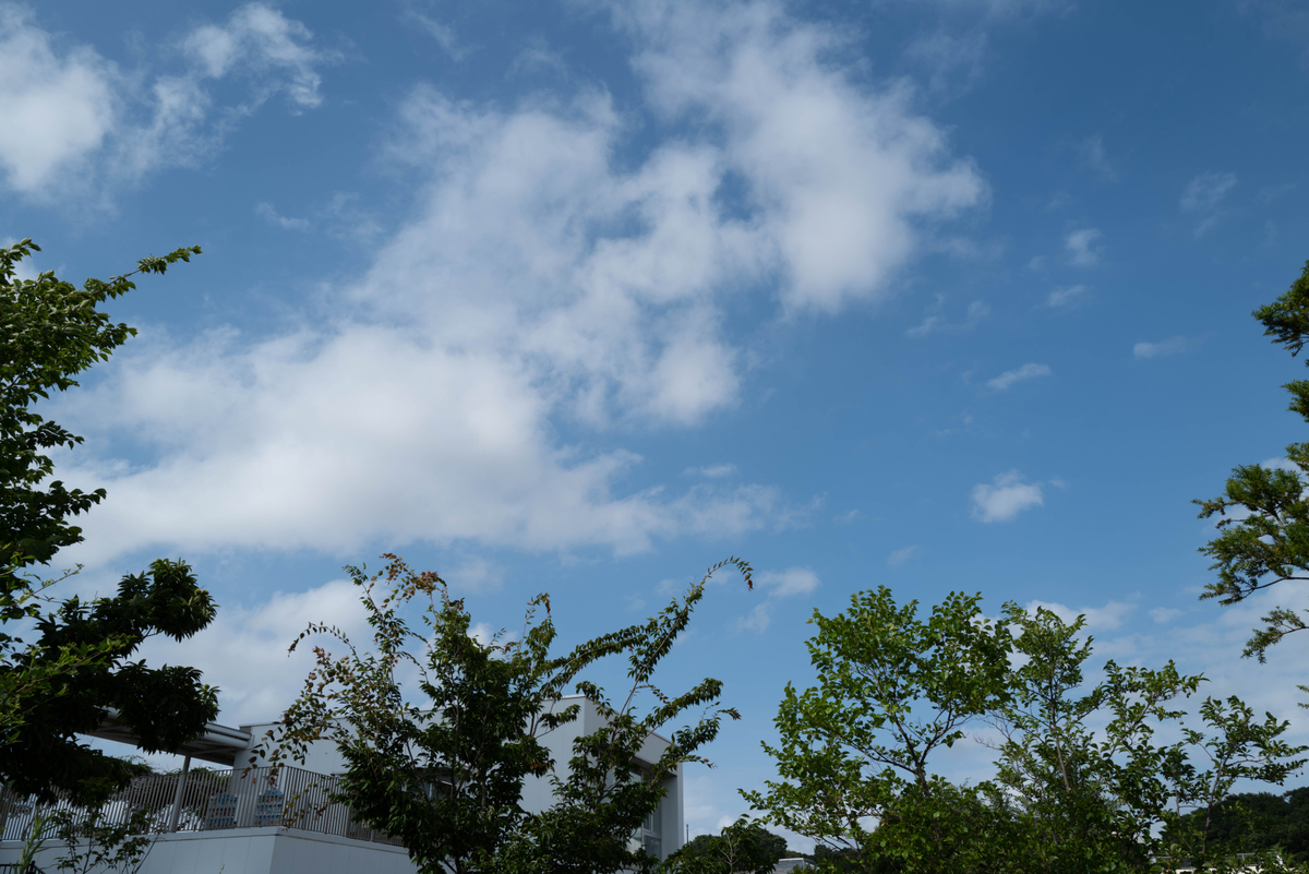 f:id:kero_decopon:20190816215429j:plain f:id:kero_decopon:20190816215429j:plain