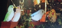 f:id:kero_p:20110626091220j:image