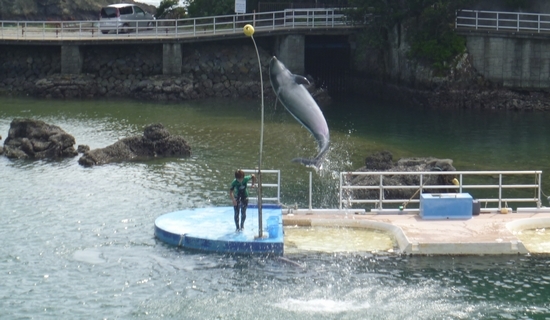 f:id:kero_p:20120709210445j:image