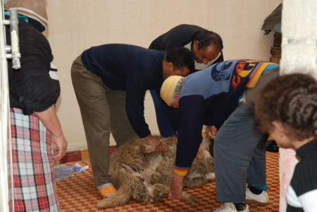 f:id:kerocco:20081209183611j:image