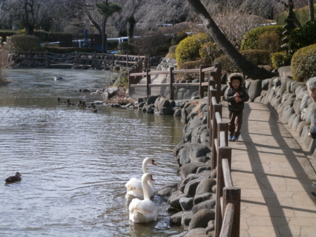 f:id:kerodon:20130217093446j:image f:id:kerodon:20130217093446j:image