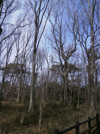 f:id:kerodon:20130217093837j:image f:id:kerodon:20130217093837j:image