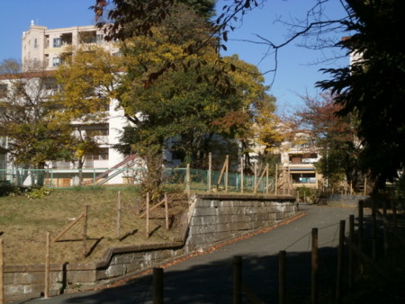 f:id:kerodon:20141114095631j:image:w360