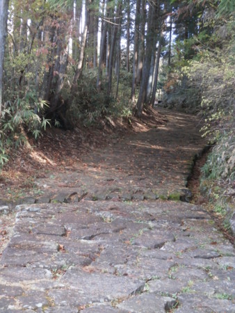 f:id:kerodon:20141118105946j:image:w360