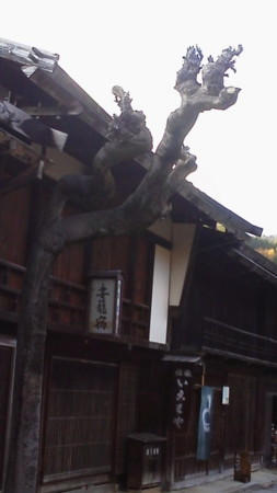 f:id:kerodon:20141118150200j:image:w360