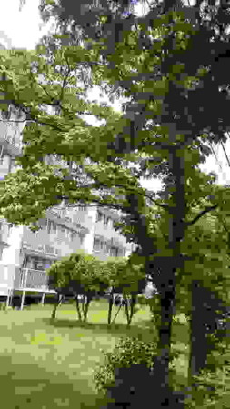 f:id:kerodon:20150614122200j:image:w360