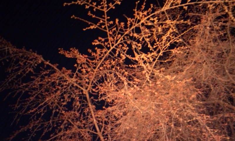 f:id:kerokero12:20120329184048j:image:w360