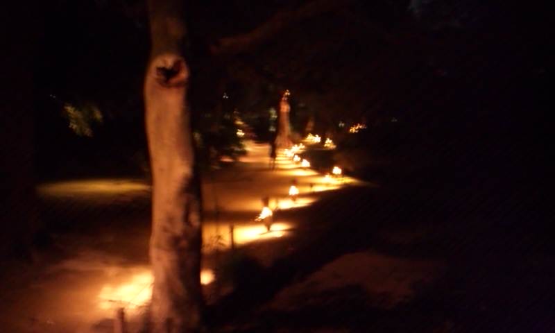 f:id:kerokero12:20120329185547j:image:w360