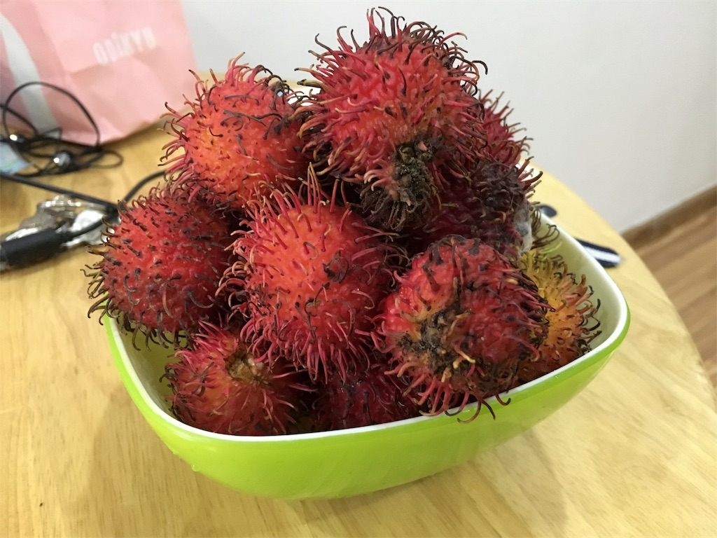 f:id:kerokero1604:20170305092522j:image f:id:kerokero1604:20170305092522j:image