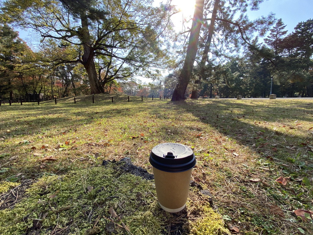 f:id:kerokerofrog123:20211115225535j:plain