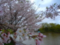 20170411185514