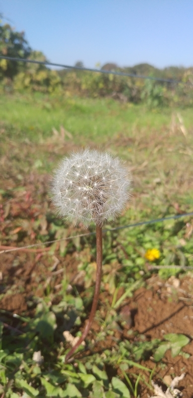 f:id:keronpass:20211126111328j:image:w250