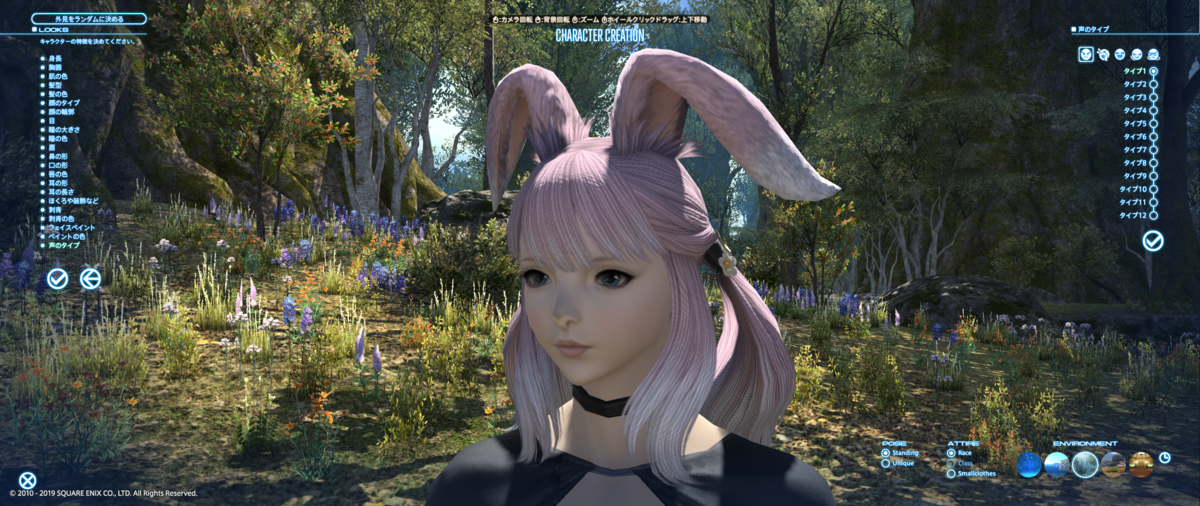 f:id:keroqueue:20190524224123p:plain